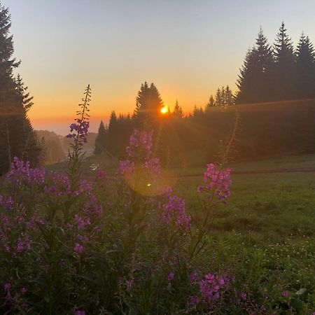 Mecava Apartmani Kopaonik Exterior foto