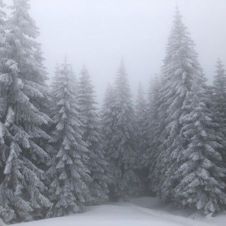 Mecava Apartmani Kopaonik Exterior foto